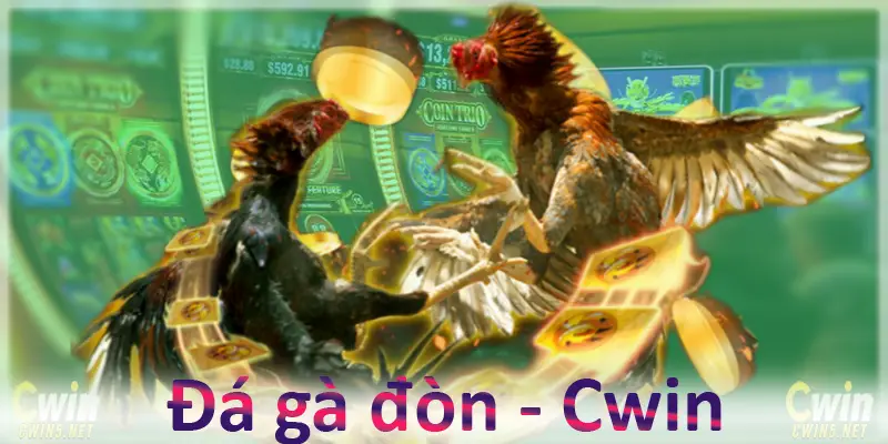 Đá gà đòn Cwin