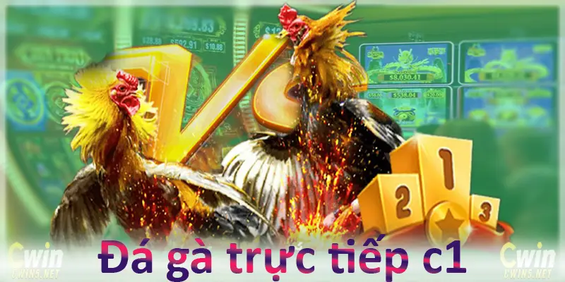 Đá gà trực tiếp c1