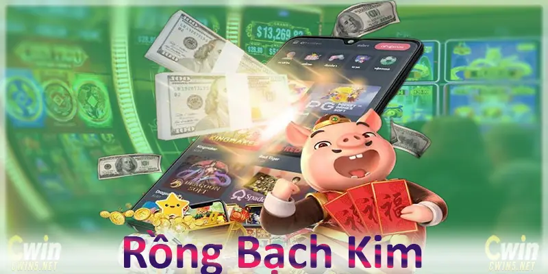 Rồng bạch kim là gì