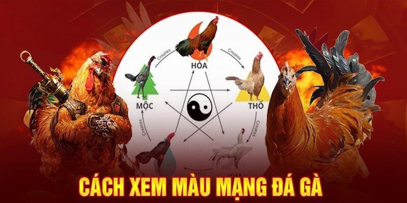 Giải mã màu mạng chiến kê